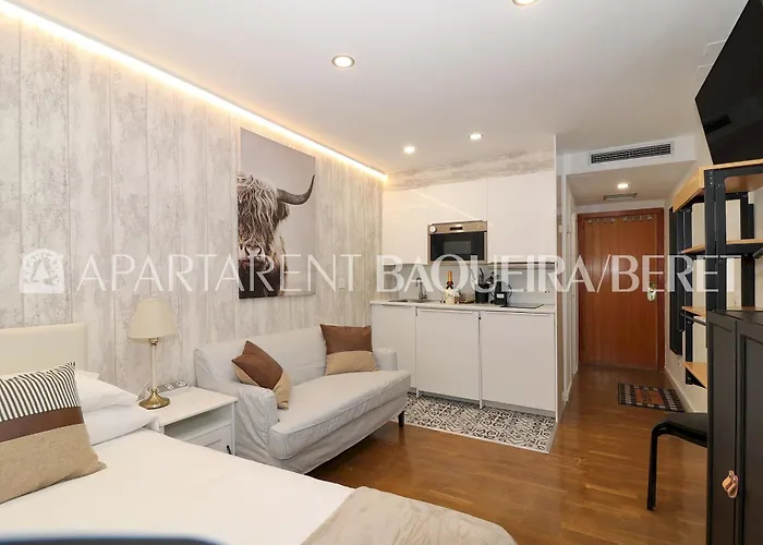Apartarent 1500 - Estudio Aneu